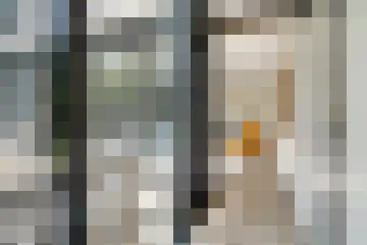 De Heie 5 Delden thumbnail 27