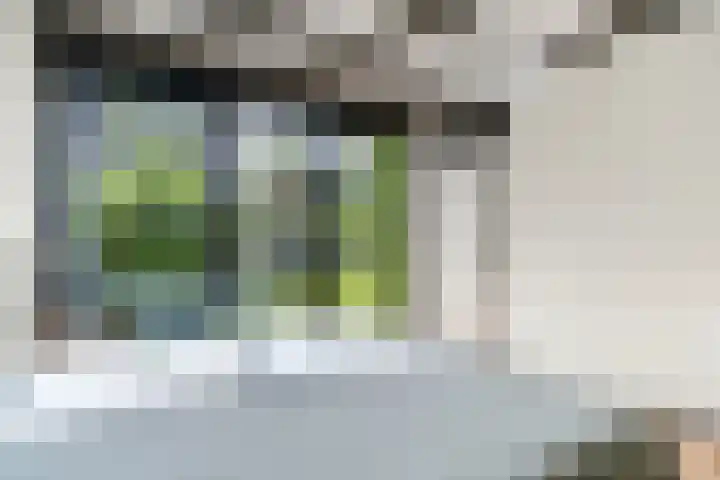 De Heie 5 Delden thumbnail 31