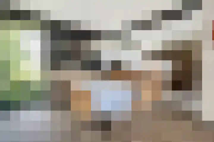 De Heie 5 Delden thumbnail 4