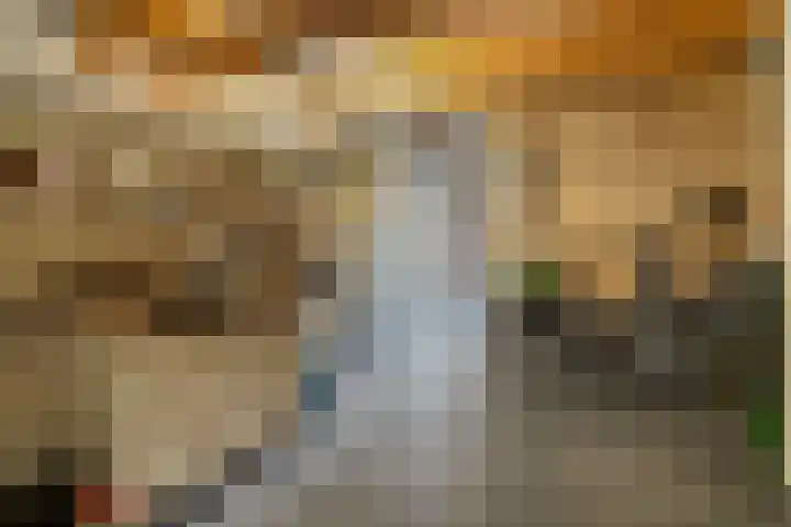 De Heie 5 Delden thumbnail 42