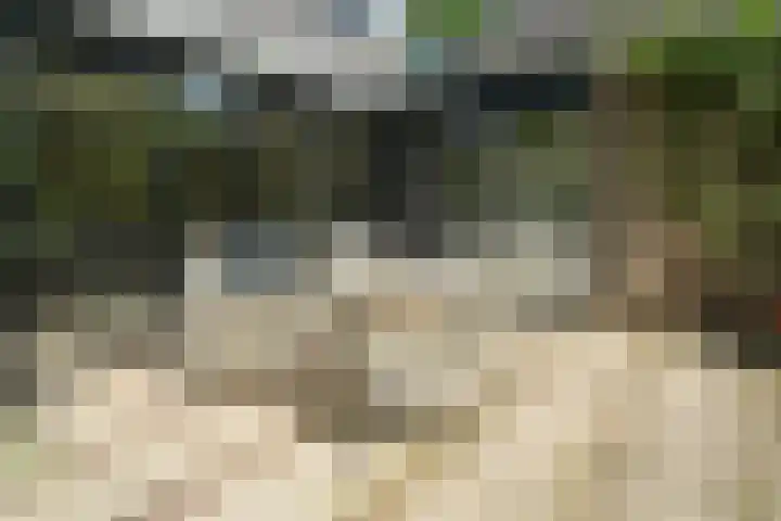 De Heie 5 Delden thumbnail 43