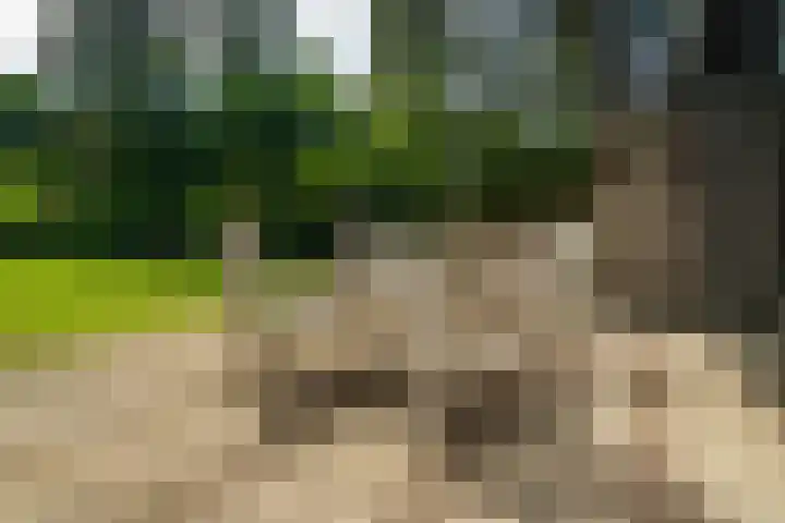 De Heie 5 Delden thumbnail 44