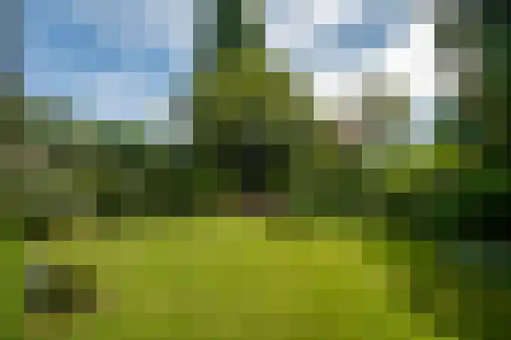 De Heie 5 Delden thumbnail 45