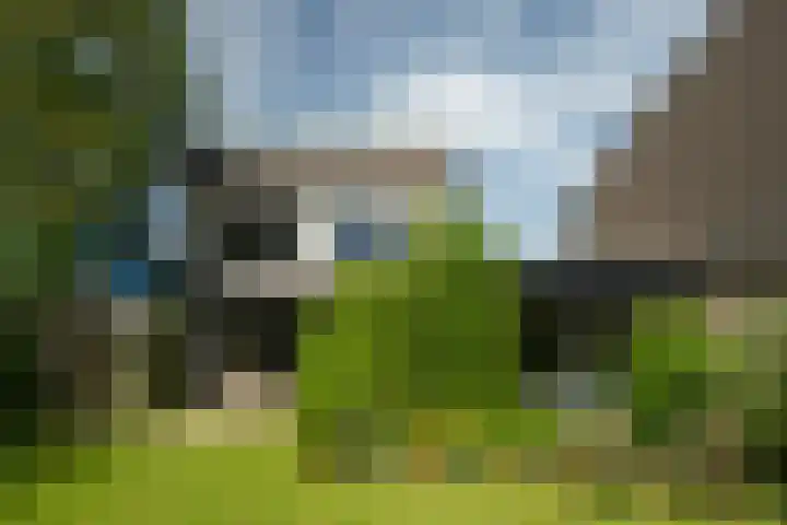 De Heie 5 Delden thumbnail 46