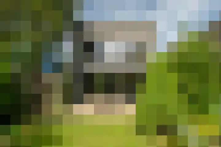 De Heie 5 Delden thumbnail 47