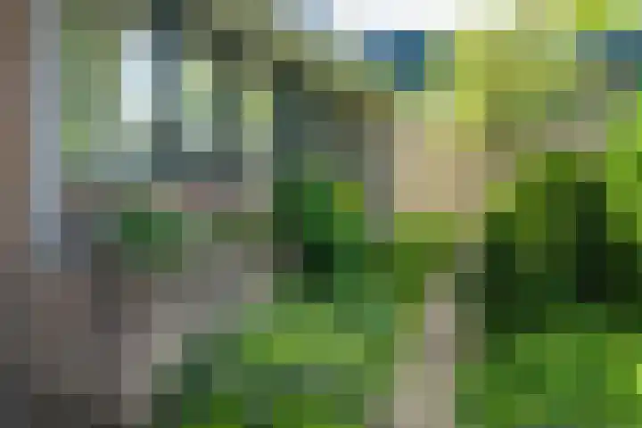 De Heie 5 Delden thumbnail 9