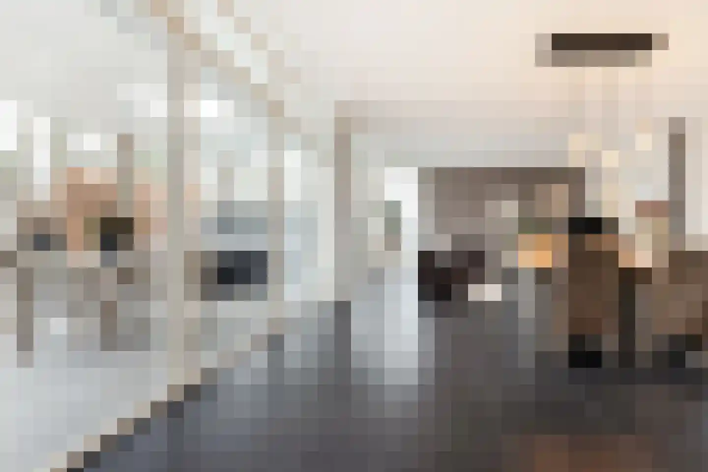 De Heiningen 19 Dorst thumbnail 18