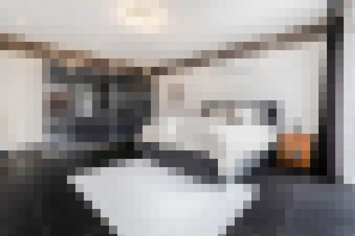 De Heiningen 19 Dorst thumbnail 29