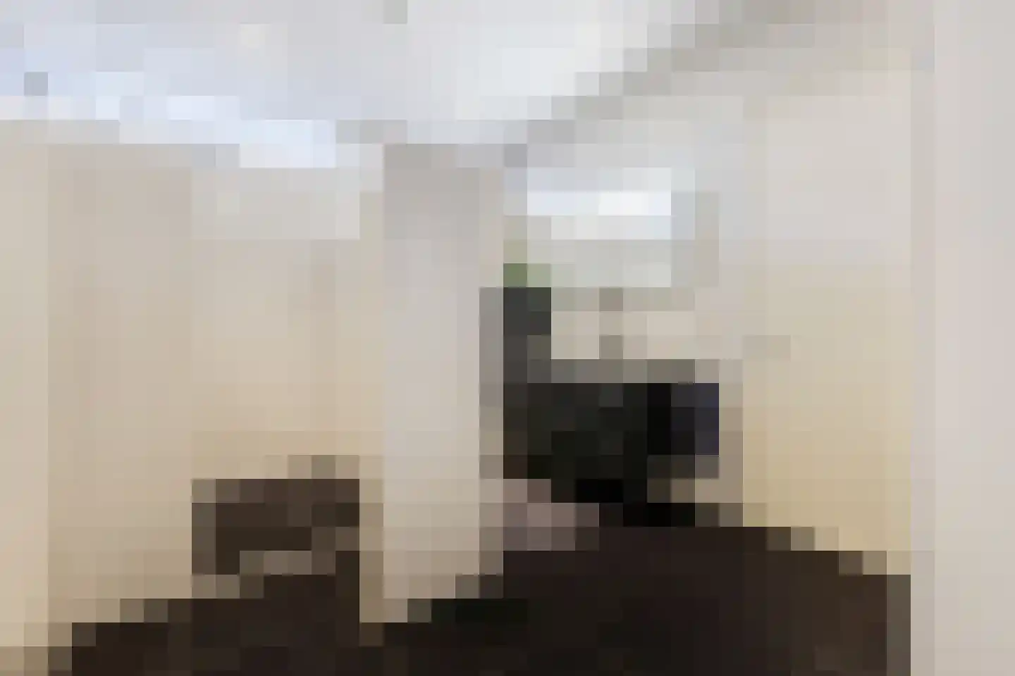 De Heiningen 19 Dorst thumbnail 35