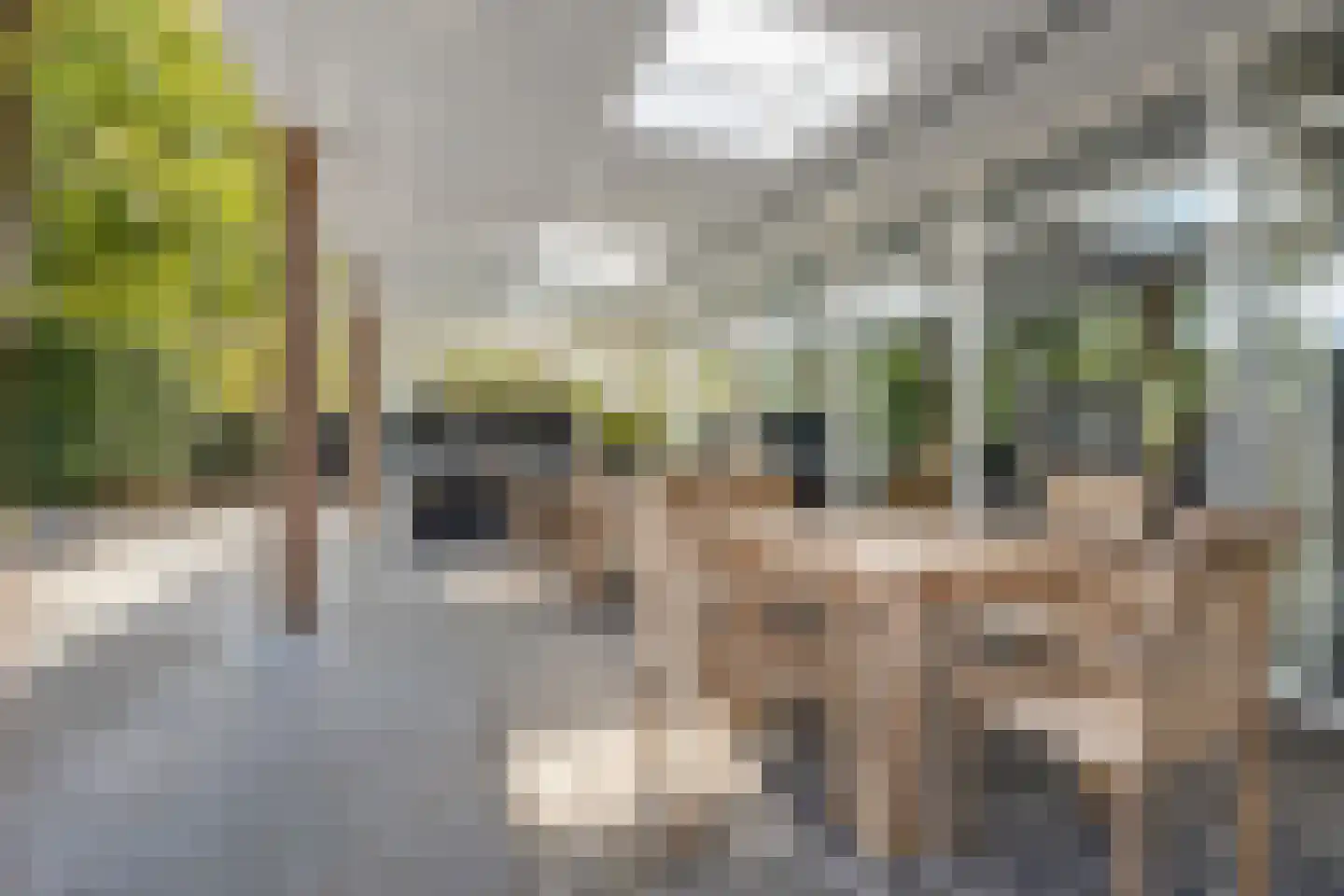 De Heiningen 19 Dorst thumbnail 41