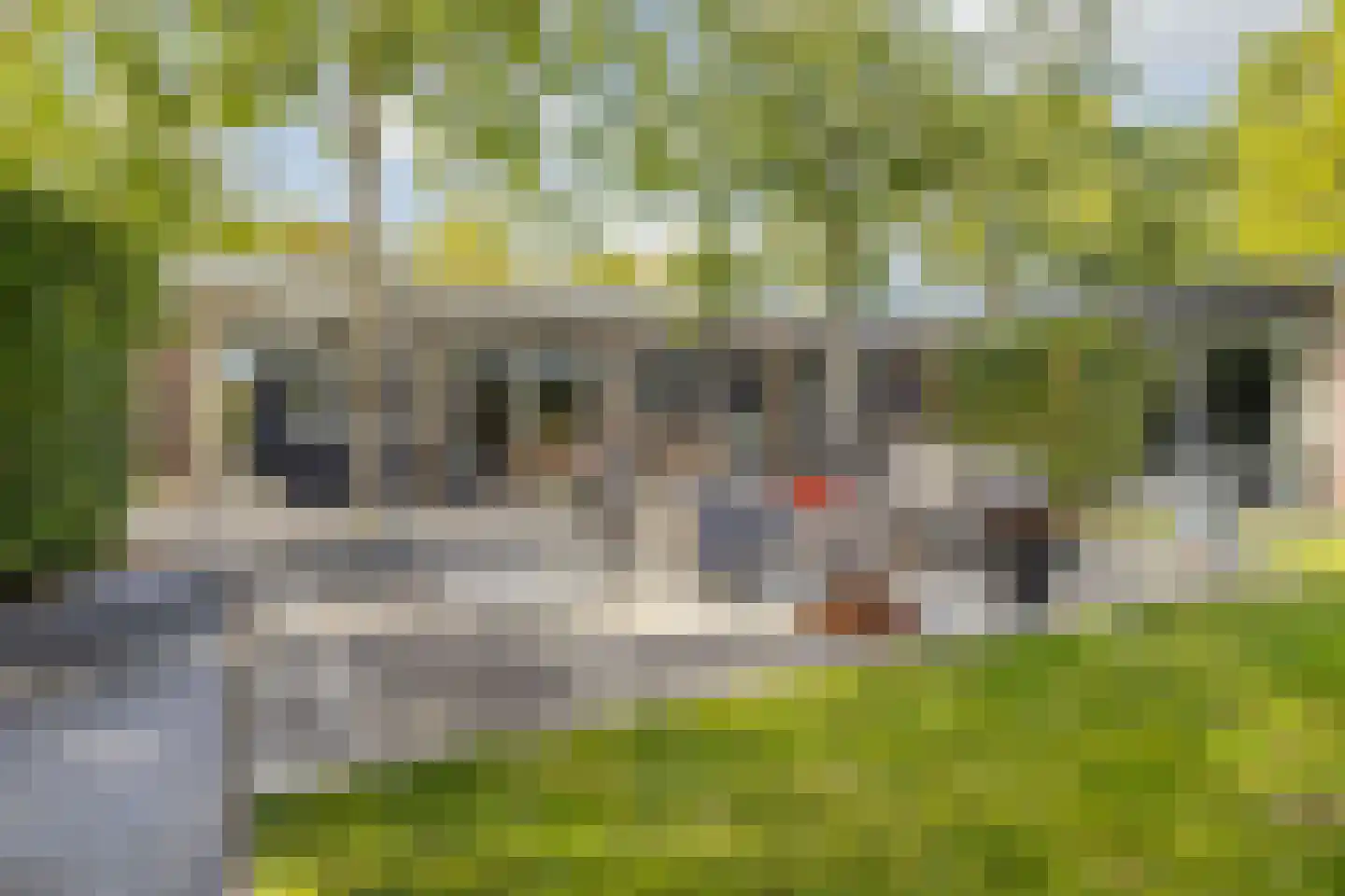 De Heiningen 19 Dorst thumbnail 43