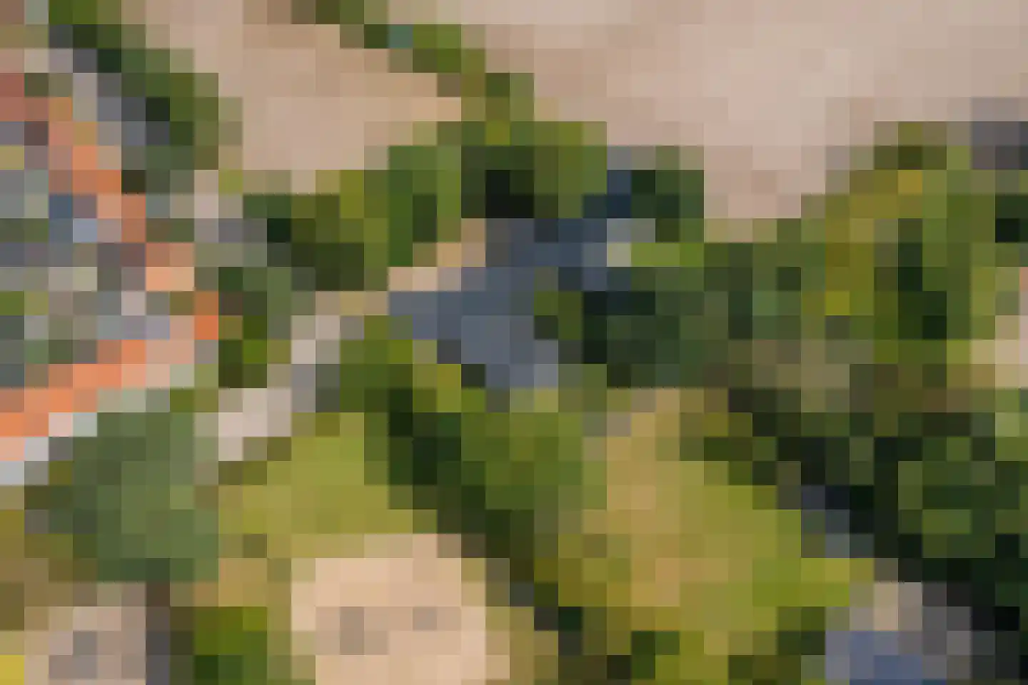 De Heiningen 19 Dorst thumbnail 5