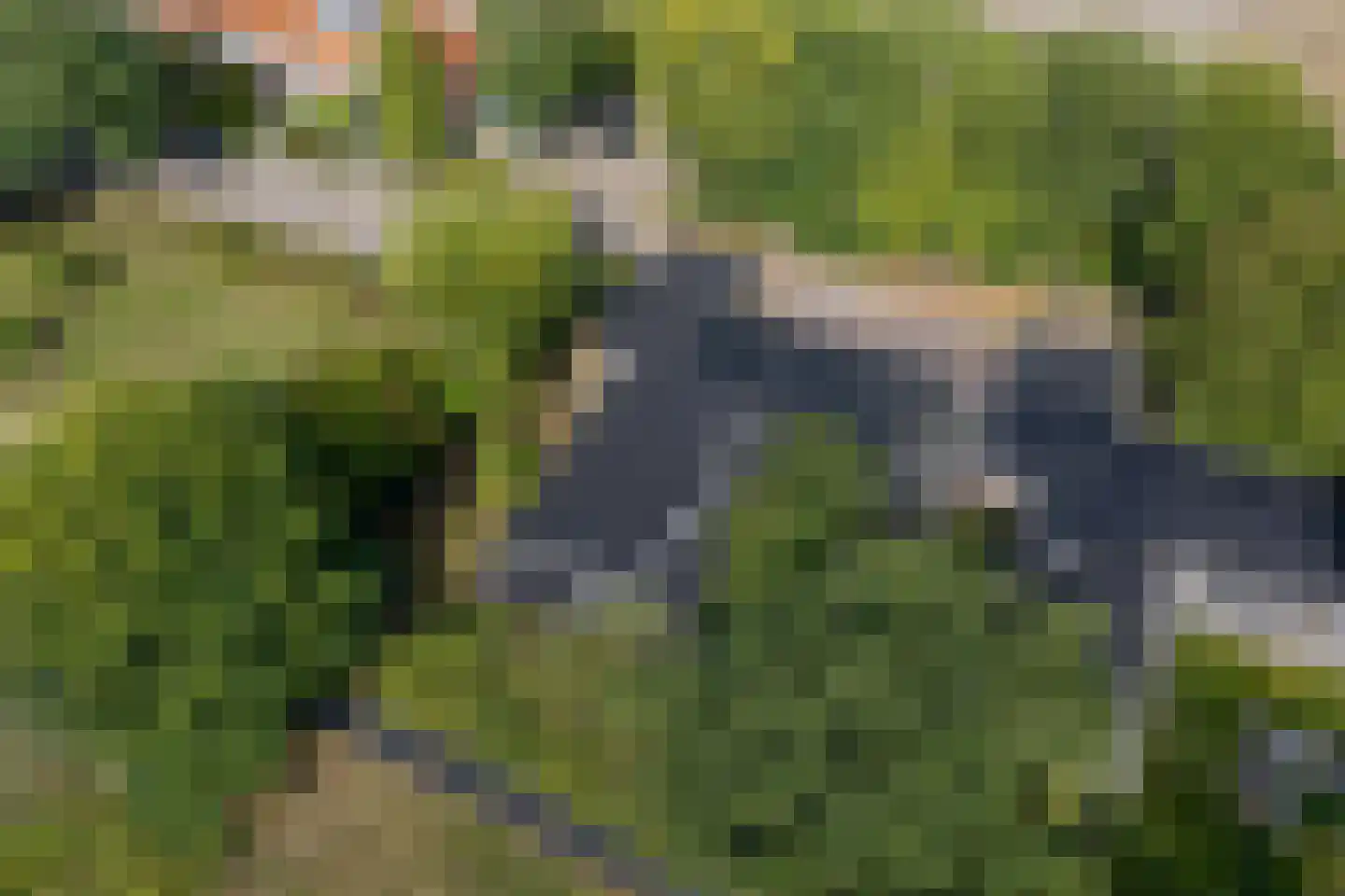 De Heiningen 19 Dorst thumbnail 56