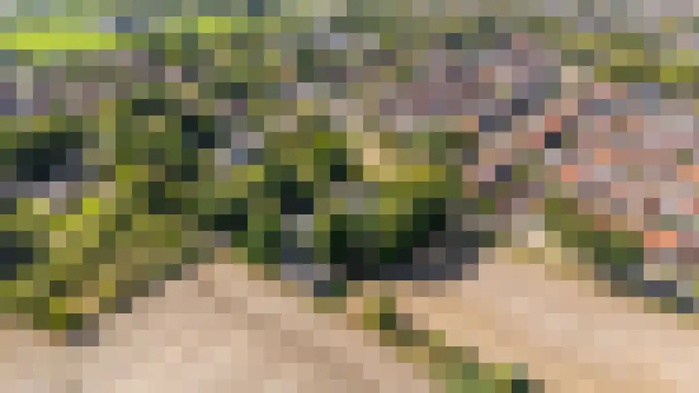 De Heiningen 19 Dorst thumbnail 57