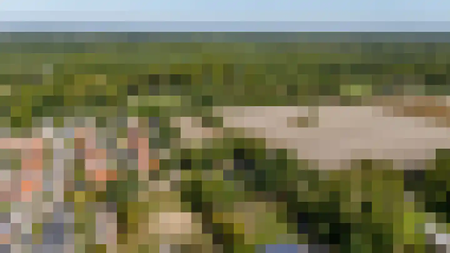 De Heiningen 19 Dorst thumbnail 59