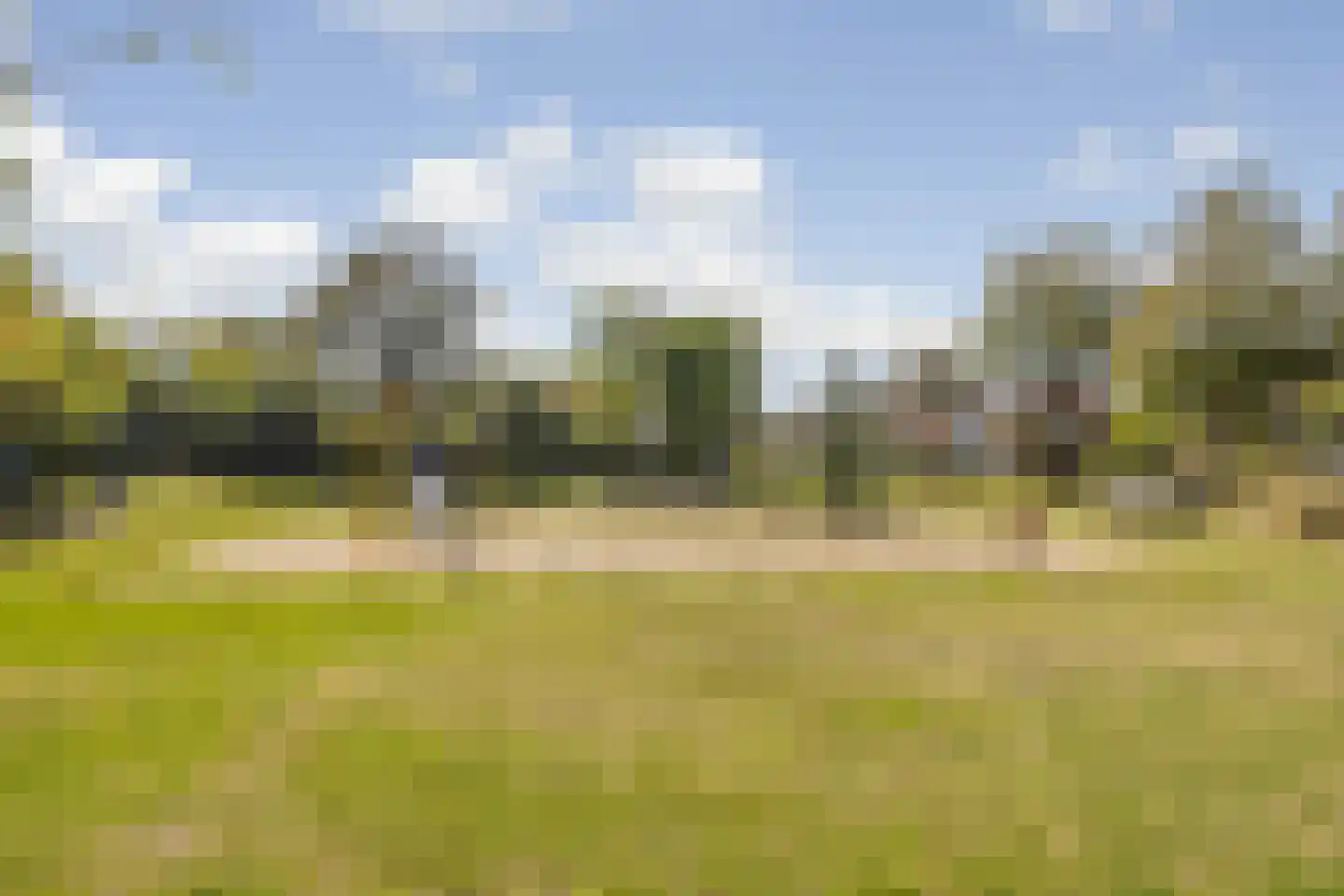 De Heiningen 19 Dorst thumbnail 60