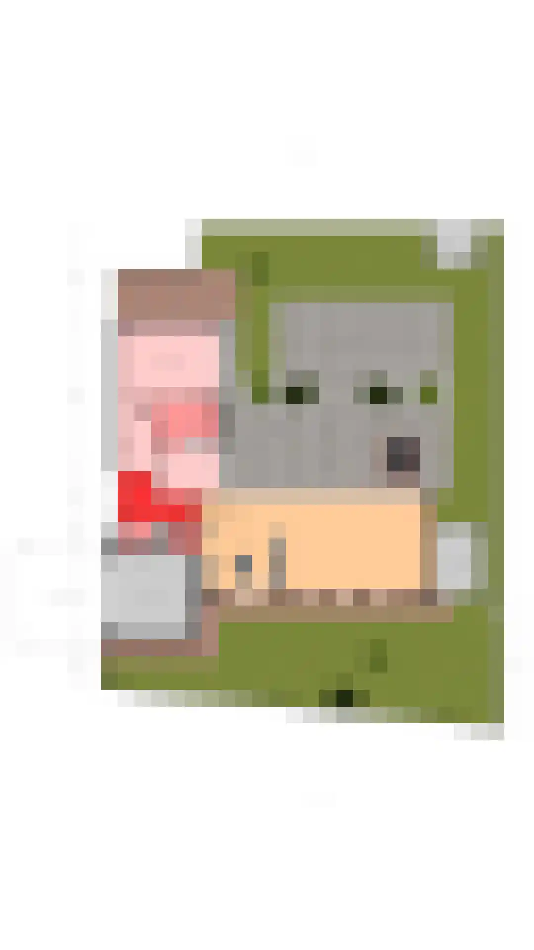 De Heiningen 19 Dorst thumbnail 62