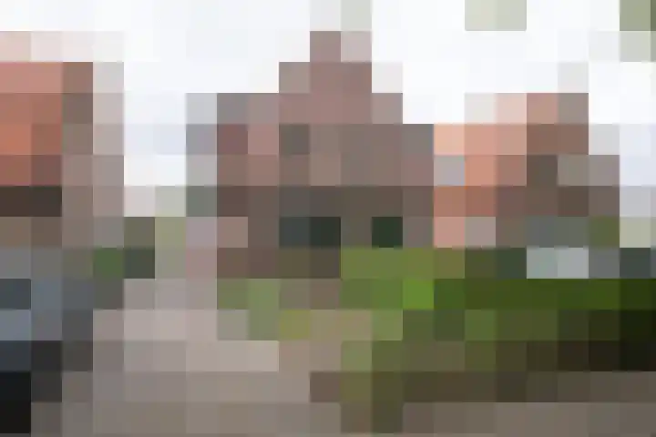 De Held 47 Groningen