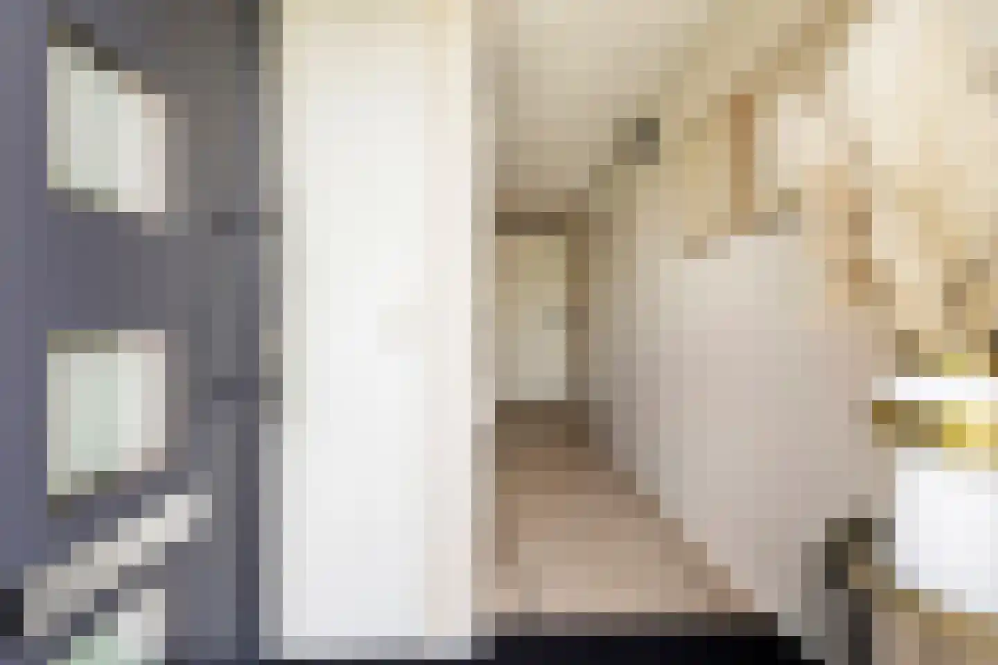 De Held 57 Groningen thumbnail 10