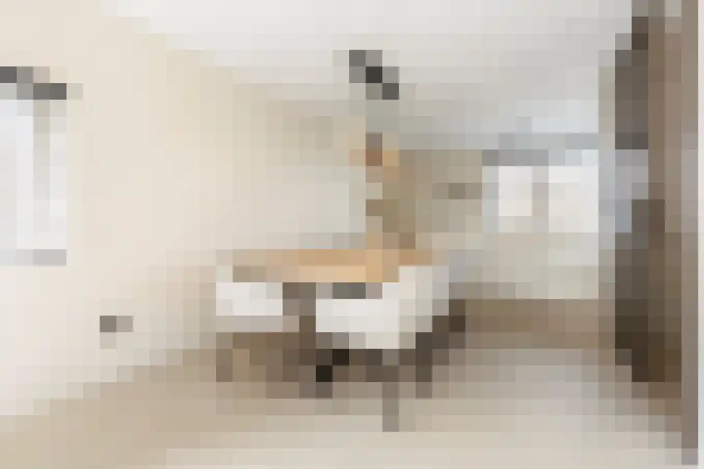 De Held 57 Groningen thumbnail 21