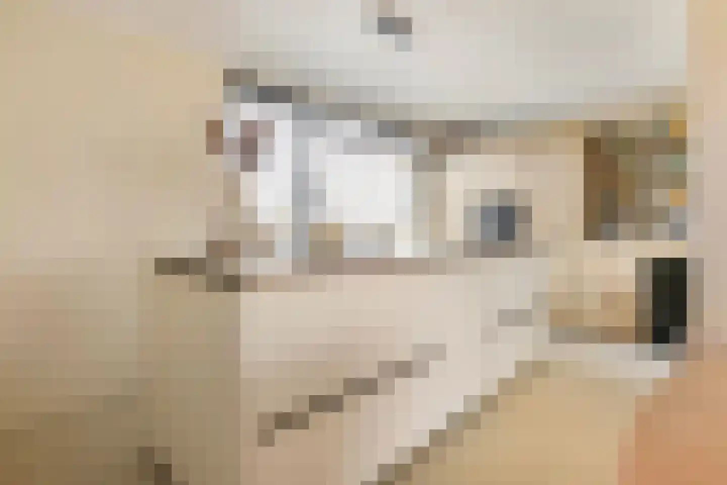 De Held 57 Groningen thumbnail 25