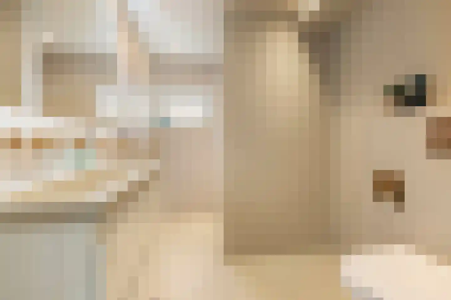 De Held 57 Groningen thumbnail 33