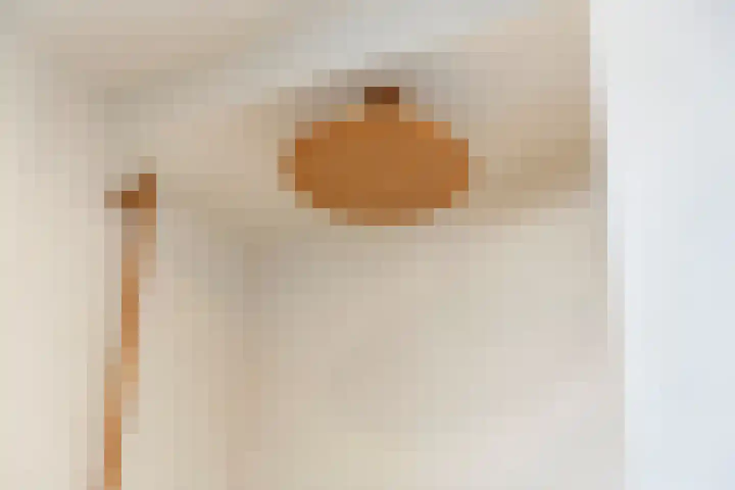 De Held 57 Groningen thumbnail 35