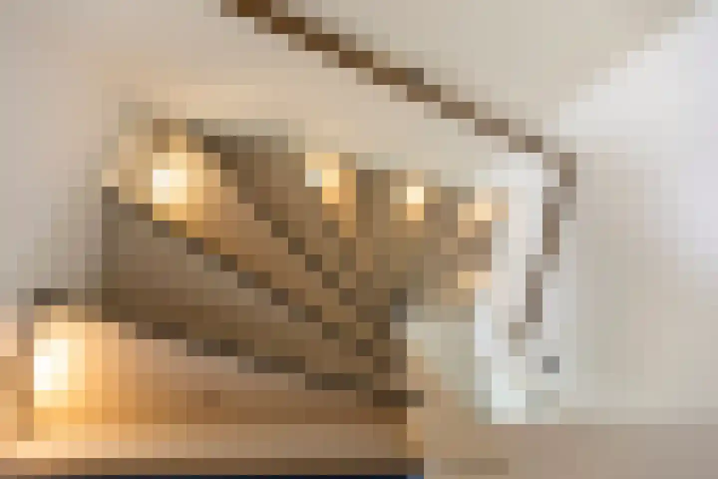 De Held 57 Groningen thumbnail 38