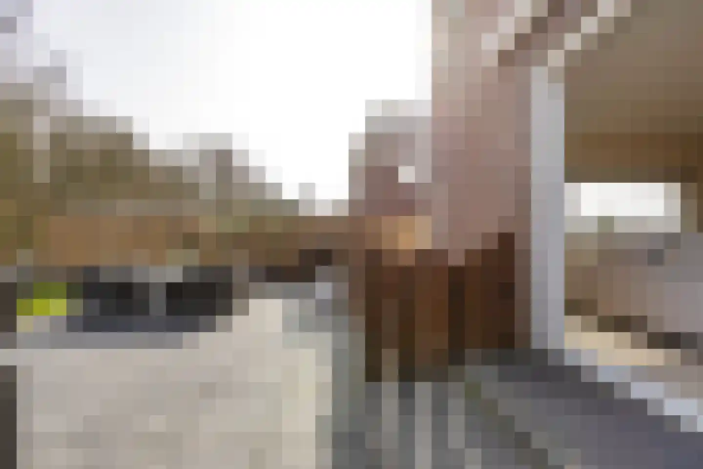 De Held 57 Groningen thumbnail 44