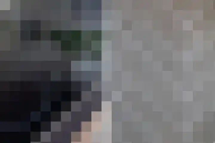 De Held 57 Groningen thumbnail 46