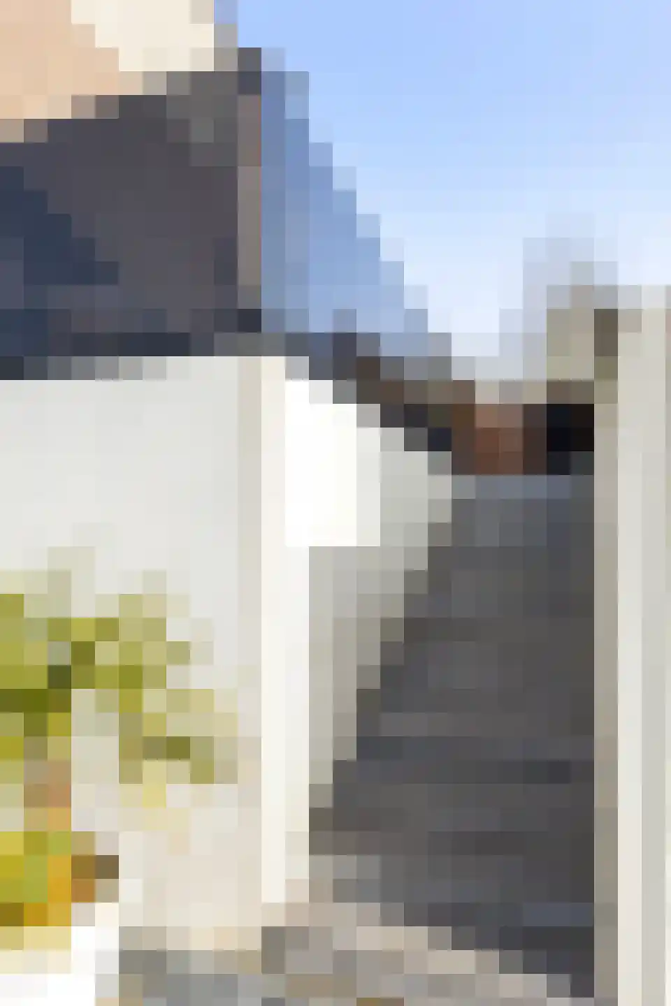 De Held 57 Groningen thumbnail 47
