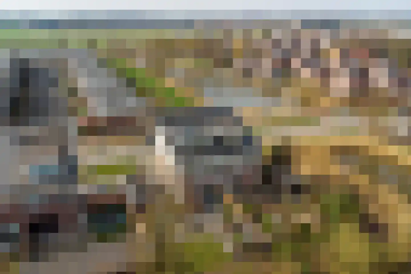 De Held 57 Groningen thumbnail 50