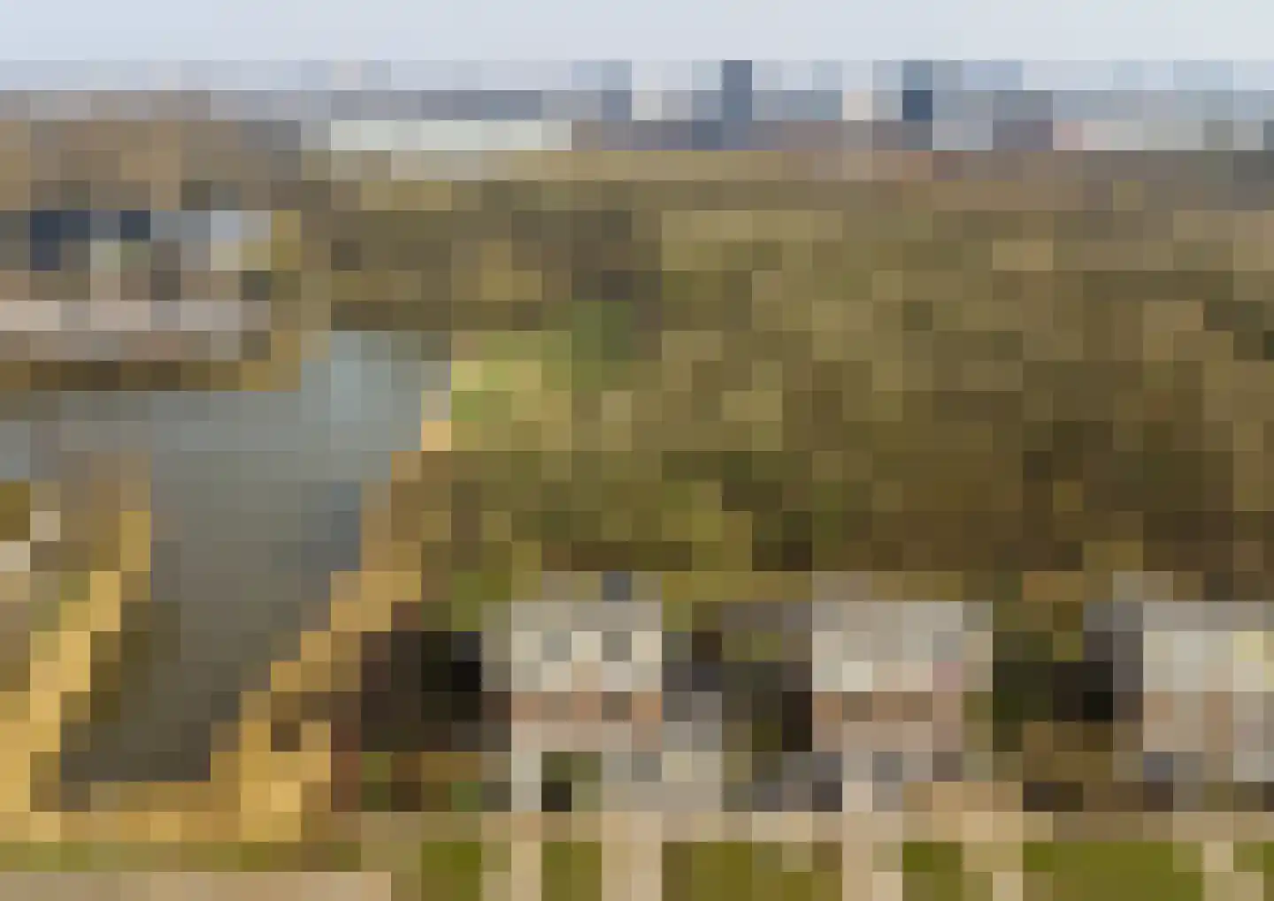 De Held 57 Groningen thumbnail 6