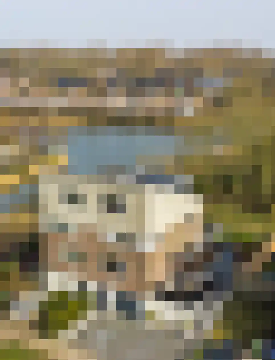De Held 57 Groningen thumbnail 7