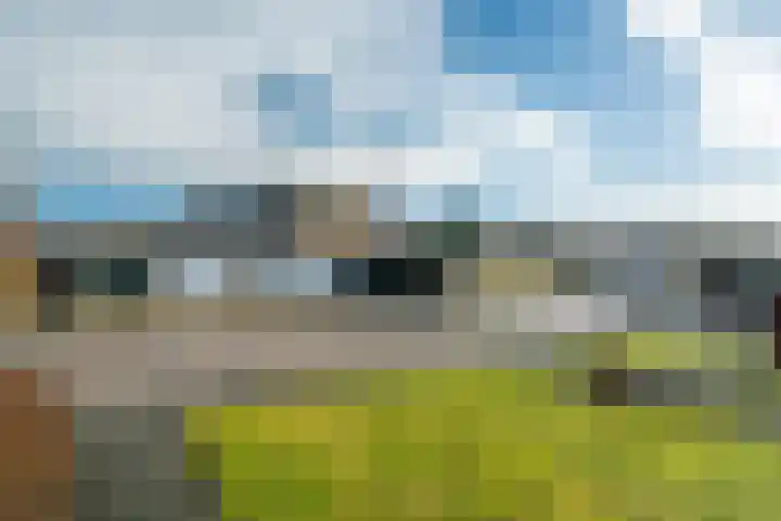 De Helling 36 Gorredijk foto 3