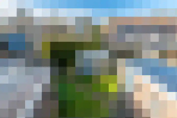 De Helling 36 Gorredijk thumbnail 30