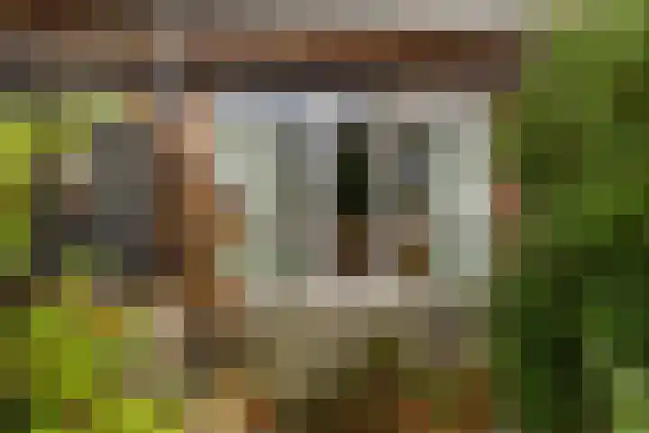 De Helling 36 Gorredijk thumbnail 31