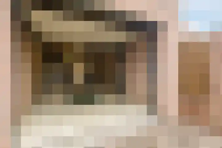 De Helling 8 Hoogeveen thumbnail 42