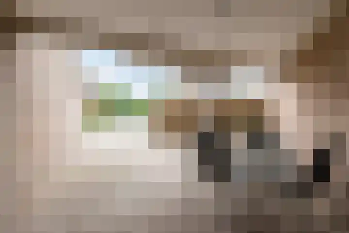 De Helling 8 Hoogeveen thumbnail 46