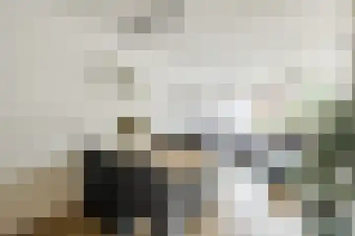 De Helling 8 Hoogeveen thumbnail 6