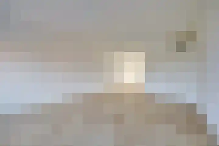 De Helling 9 A Dronten thumbnail 10