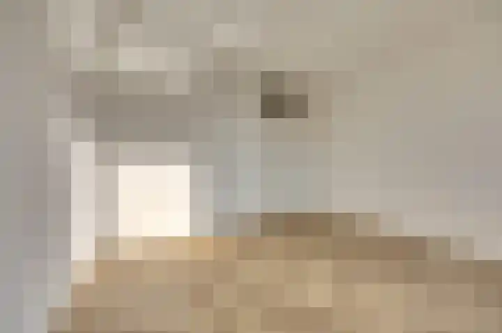 De Helling 9 C Dronten thumbnail 28