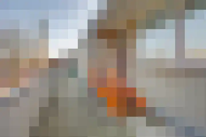 De Helling 9 C Dronten thumbnail 29