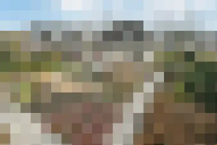 De Helster 35 Elst thumbnail 42