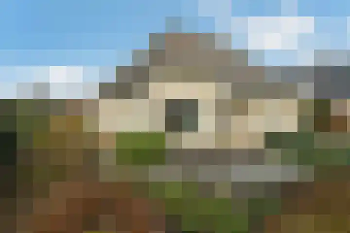 De Helster 35 Elst thumbnail 45