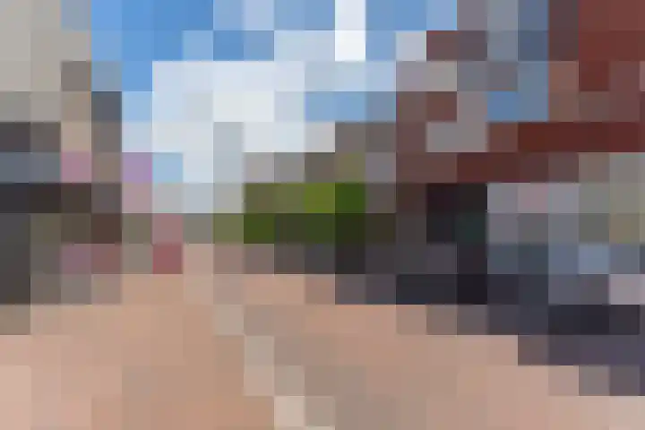 De Henschoterhof 7 Woudenberg thumbnail 29