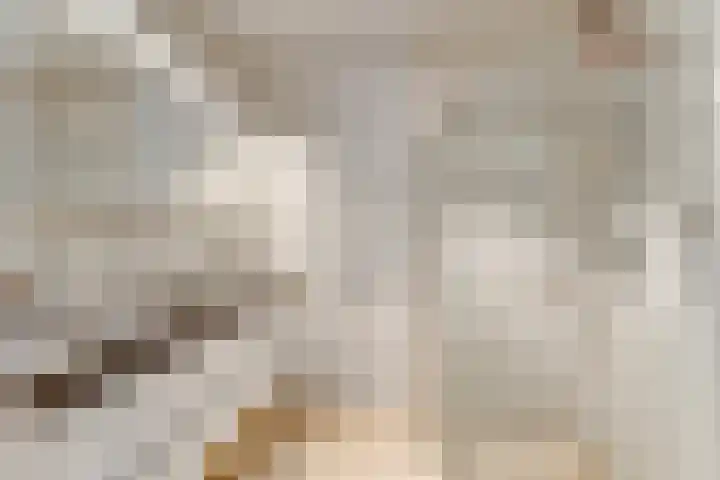 De Henschoterhof 7 Woudenberg thumbnail 4