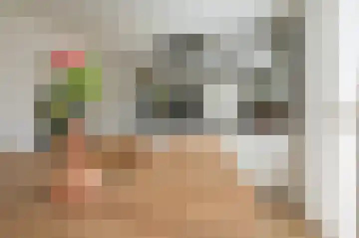 de Heul 27 Maasdam thumbnail 16