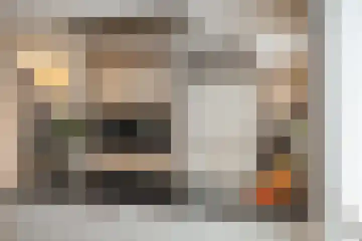 de Heul 27 Maasdam thumbnail 17