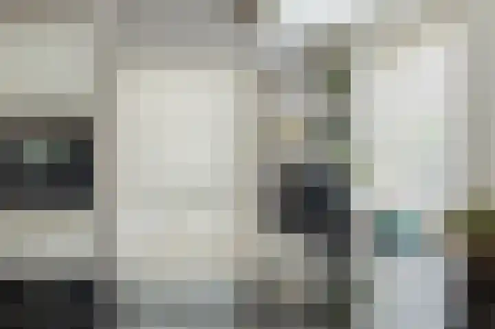 de Heul 27 Maasdam thumbnail 18